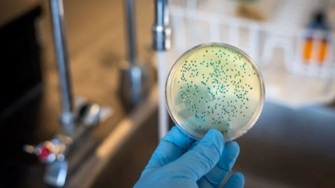 Yılda yarım milyon insanı öldürüyor!