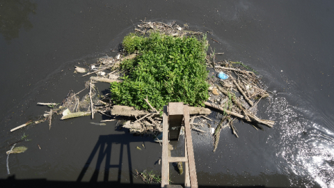 Bursa'da Nilüfer Çayı zehir saçıyor!
