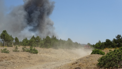 Tavşanlı'da orman yangını