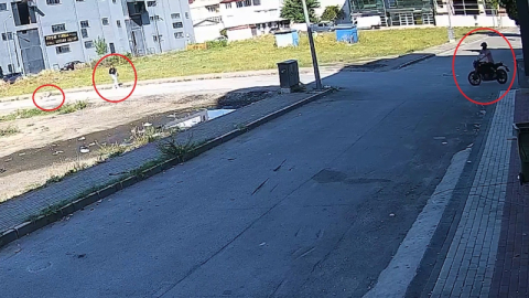 Bursa'da başıboş köpek kadına saldırdı!