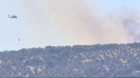 Erdek’te orman yangını