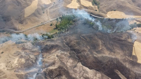 Otluk alanda çıkan yangın ağaçlara sıçradı
