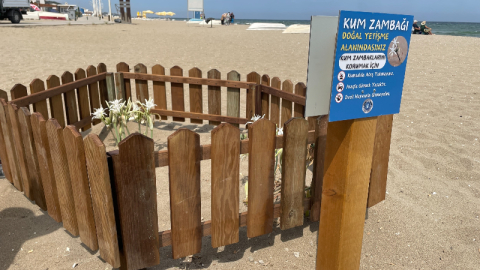 Bursa'da acilen koruma altında!