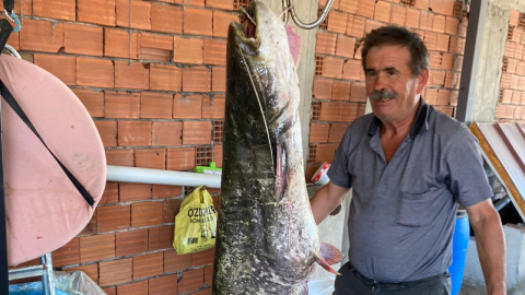 Görenler hayrete düştü! İnsan kadar...