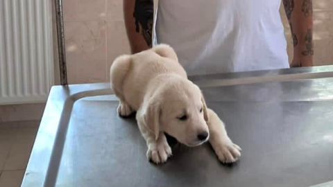 Akıbetleri belirsizdi! Çözüme kavuşturdu...