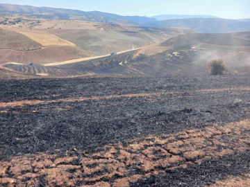 Siirt’te çıkan anız yangını söndürüldü
