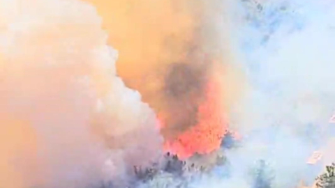 Bursa'da orman yangını! Faciadan dönüldü...