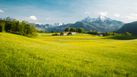TOKİ o illerde açık artırmayla satışa çıkarıyor!