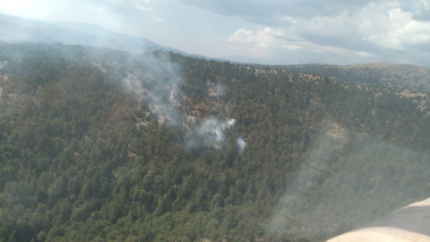 Ormanda yine yangın! Bu kez nedeni başka...
