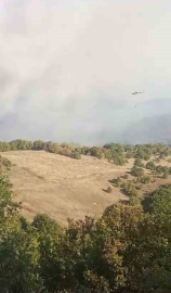 Bursa’da korkutan orman yangını
