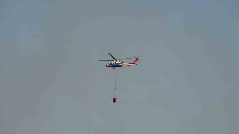 Kocaeli’deki orman yangını 3 saatte kontrol altına alındı
