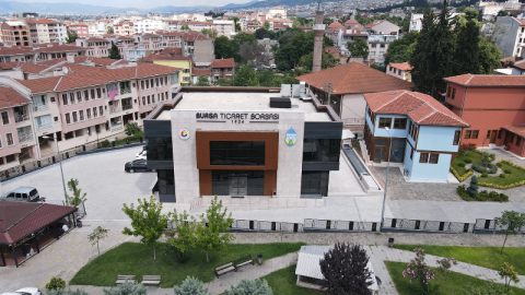 Bursa'nın çınarı 100 yaşında