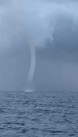 Görenler inanamadı! Bursalıları korkuttu...
