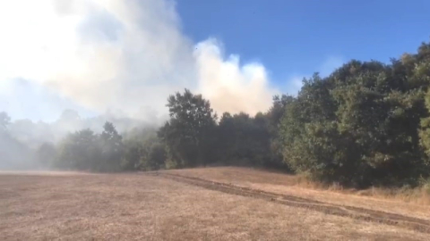 Bursa'da orman yangını! Ekipler müdahale ediyor...
