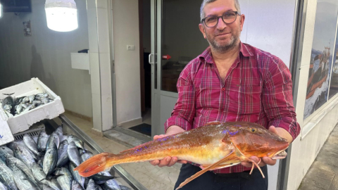 O balık ilgi odağı!