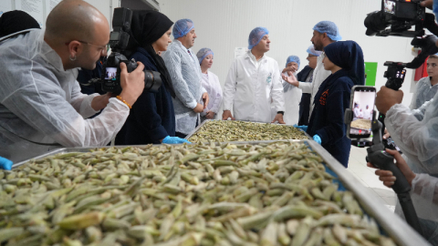 Bamyayı cips yapıp 15 kat değer kattılar!