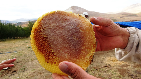 En verimli sezonu yaşadılar!