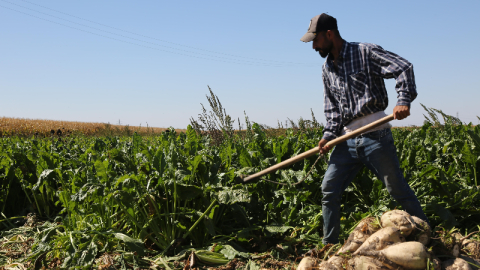 Konya Şeker’den çiftçisine çifte avans