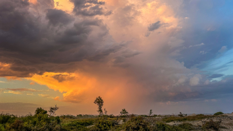 Bursa’da görsel şölen