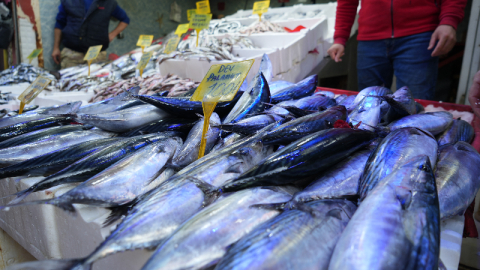 Balıkçılar şaşkın! 'Böyle sezon yaşamadık'