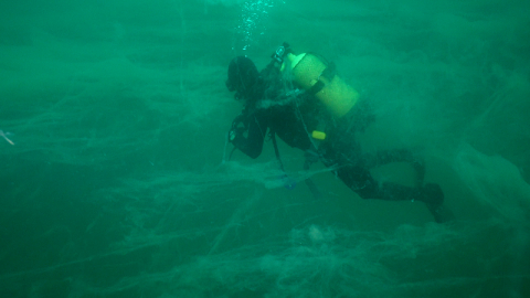 Yine geliyor! Marmara tehlikede