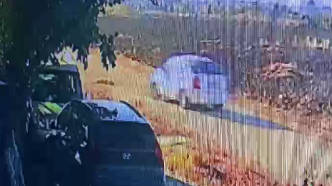 Bile bile köpeği ezdi!