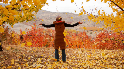 Sonbaharı ölümsüzleştirdiler
