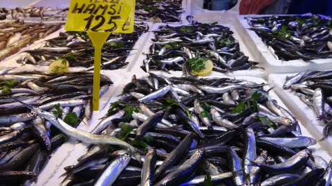 Palamut tezgahlarda yerini hamsiye bırakıyor