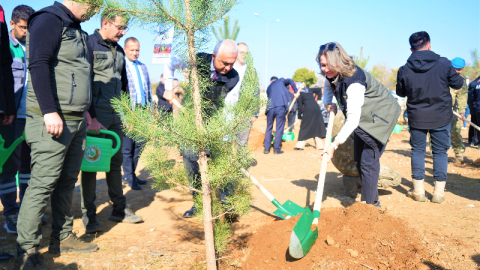 11 bin fidan toprakla buluşturuldu