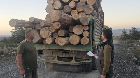 Ağaçlara da göz diktiler!