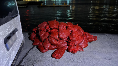 3 ton kaçak midye ele geçirildi