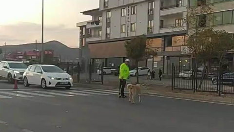 Trafik polisi yürekleri ısıttı!