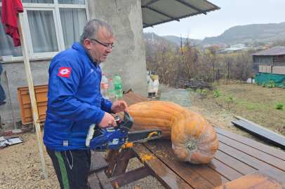 Dev kabağı ancak böyle kesebildi!