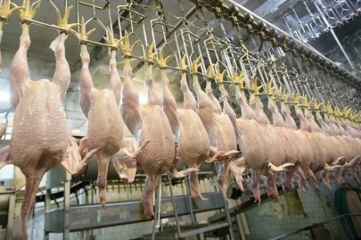 Tarım ve Orman Bakanı açıkladı Türkiye Avrupa Birliği ülkelerine ihraç edecek