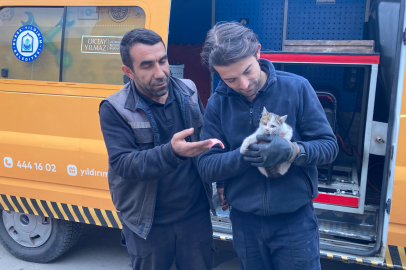 Kış aylarında dikkat! Bursa'da kaputa sıkışan yavru kedi kurtarıldı
