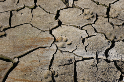 Bursa barajlarında korkutan tablo