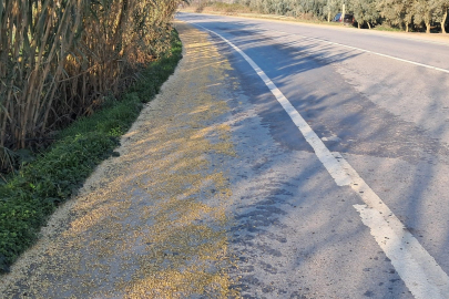 Bursa'da dikkatsiz şoförün fasulyesi fire verecek