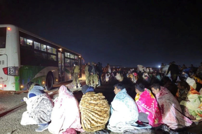 Esad'ın kaplanları battaniyeyle döndü