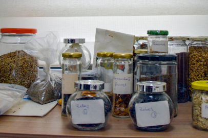 Diyarbakır’da Tohum Kütüphanesi kuruluyor