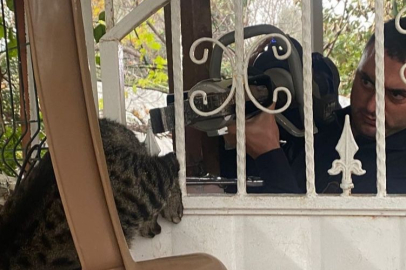 Patisi korkuluğa sıkışan kediyi itfaiye kurtardı