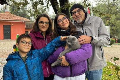 Osmangazi'de 2024’te 693 sokak hayvanı sahiplendirildi