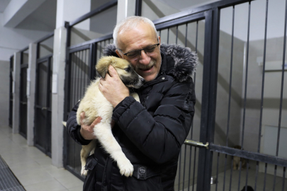 Bursa'da can dostlar yeni yuvalarına kavuşuyor