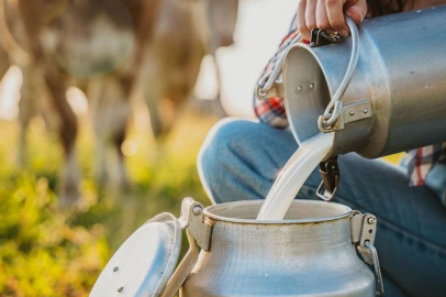 Çiğ süt üreticilerinin litre başı kazancı belli oldu!