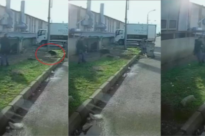 Bursa'da başıboş köpeğin saldırısına uğradı!