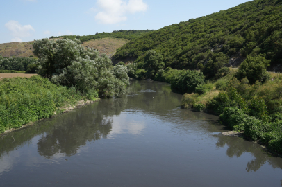 İşte müsilajın nedeni! Bursa'da ortaya çıktı...