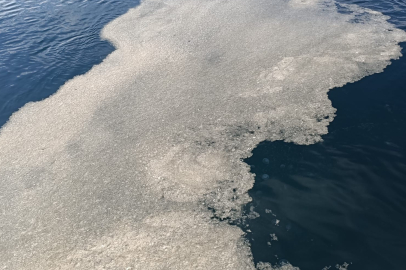 O tehlikeye çözüm önerisi geldi!