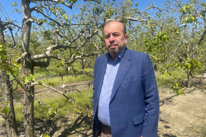 Ülkeyi vuran zirai don felaketinde Bursa'dan sevindirici haber!