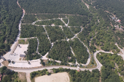 Bursa'da ormanlara giriş yasaklandı