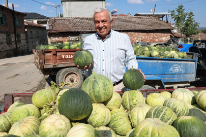 Bursa'nın ünlü Konaklı kavununda üretim iki kat arttı
