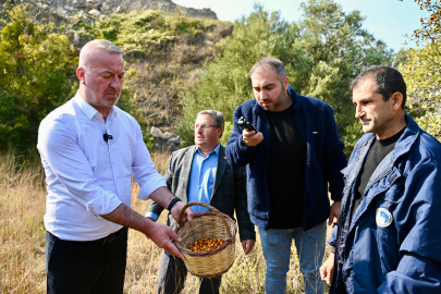 ‘Alıç Meyvesi’ dünya pazarına çıkıyor
